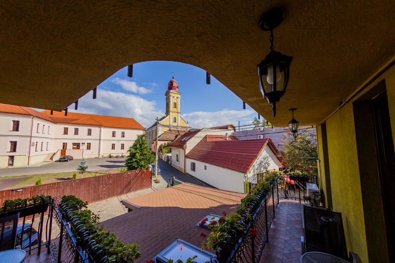 Pensiunea Ideal Baia Mare Buitenkant foto